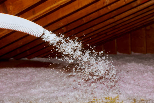 Types of Insulation We Offer in Warren, AR